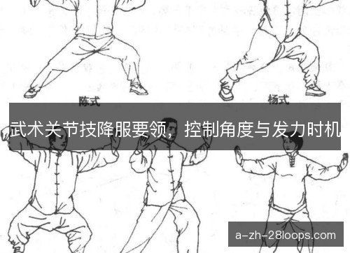 武术关节技降服要领，控制角度与发力时机